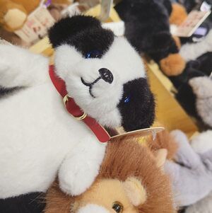 Meet your Posher, Ling